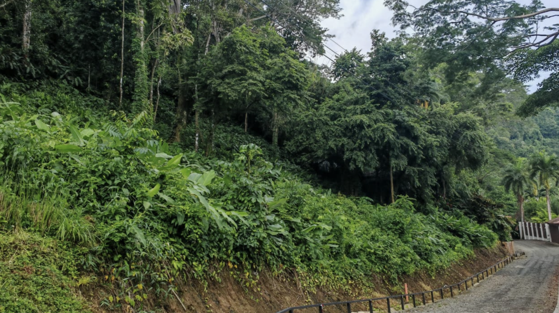 Osa>Dominical For Sale 35969 | RE/MAX Costa Rica Real Estate