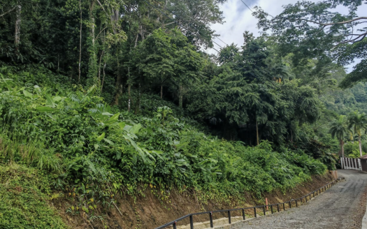 Osa>Dominical For Sale 35969 | RE/MAX Costa Rica Real Estate