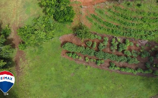 Other Locations>San Jose Area - Central Valley Costa Rica>San Jose For Sale 83522 | RE/MAX Costa Rica Real Estate