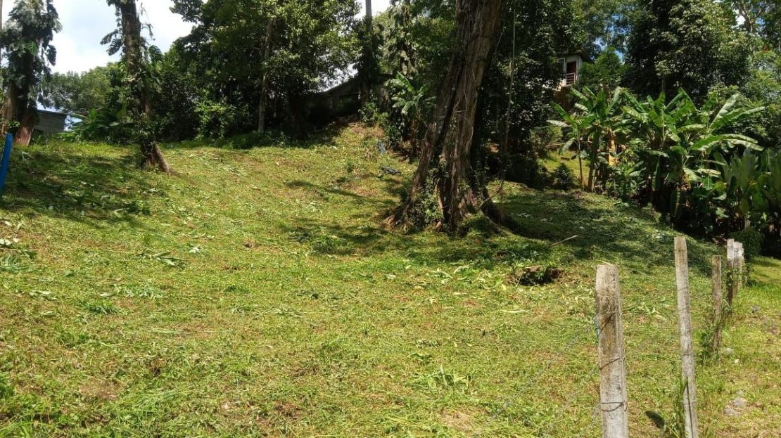 Costa Rica Real Estate