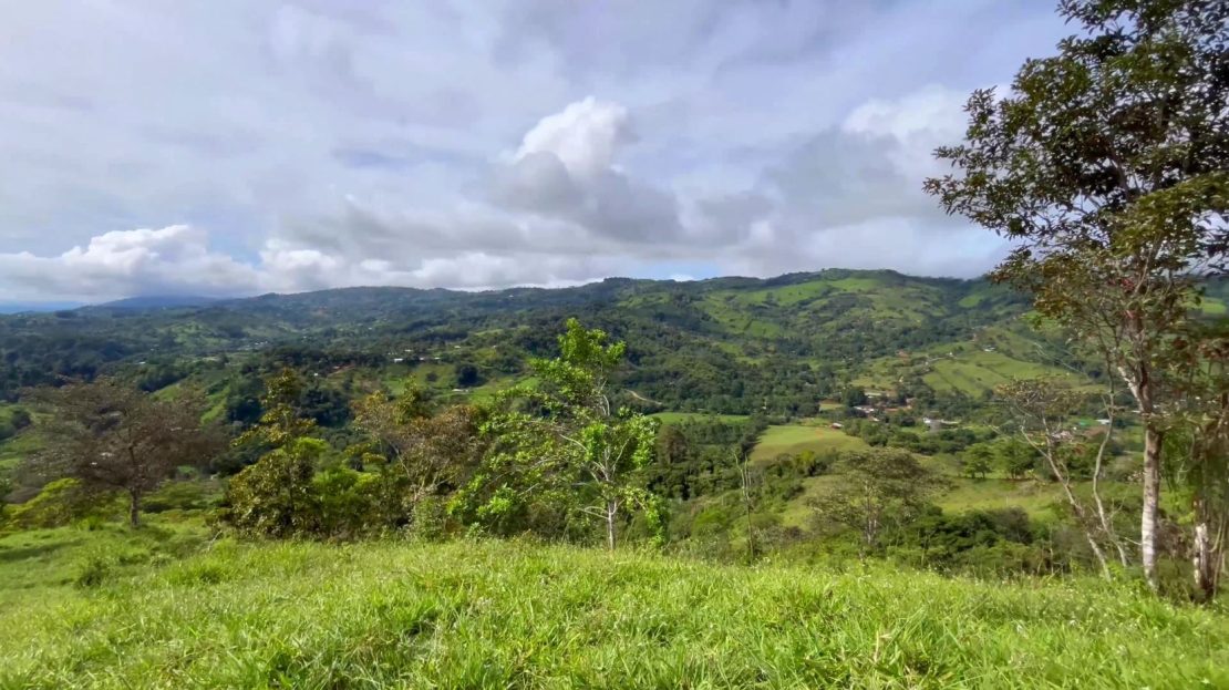 For Sale – 9.3 Hectares in Platanares