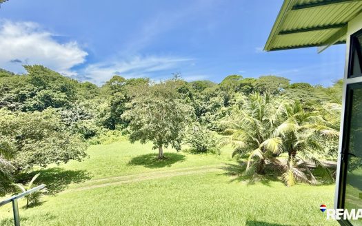 Modern Jungle Retreat