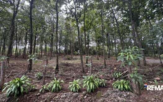 Riverside Mountain Land