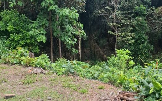 Parrita>Esterillos For Sale 34792 | RE/MAX Costa Rica Real Estate