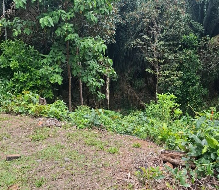 Parrita>Esterillos For Sale 34792 | RE/MAX Costa Rica Real Estate