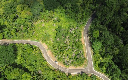 Costa Esterillos Lot for Sale- Mountain View