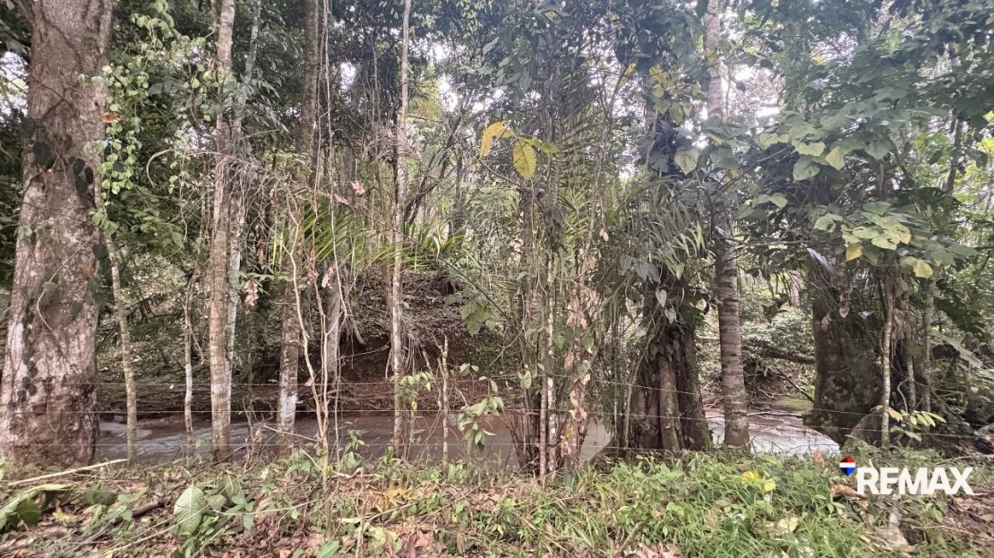 Parrita>Esterillos>Esterillos Este For Sale 101458 | RE/MAX Costa Rica Real Estate