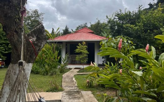 Pérez Zeledón For Sale 34706 | RE/MAX Costa Rica Real Estate