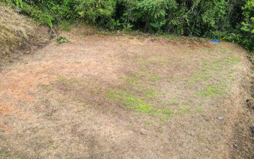 Pérez Zeledón For Sale 35033 | RE/MAX Costa Rica Real Estate