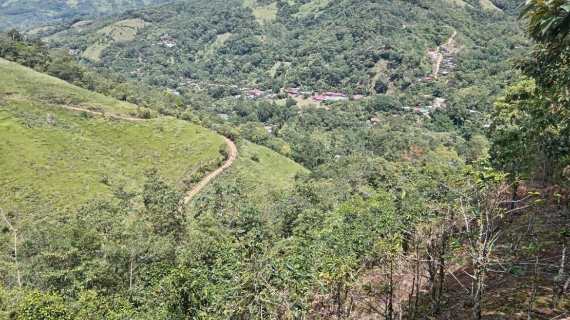 Pérez Zeledón For Sale 35711 | RE/MAX Costa Rica Real Estate