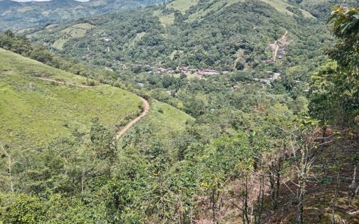 Pérez Zeledón For Sale 35711 | RE/MAX Costa Rica Real Estate