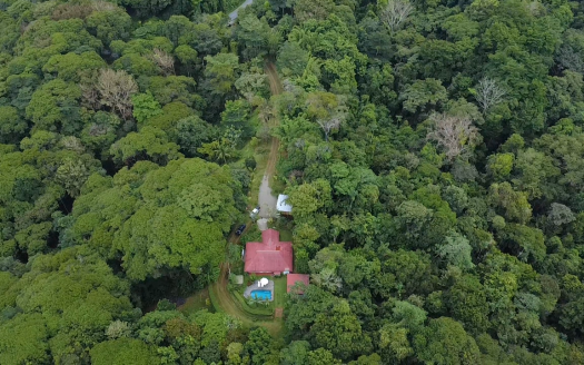 Private Jungle Estate Minutes From City & Coasta