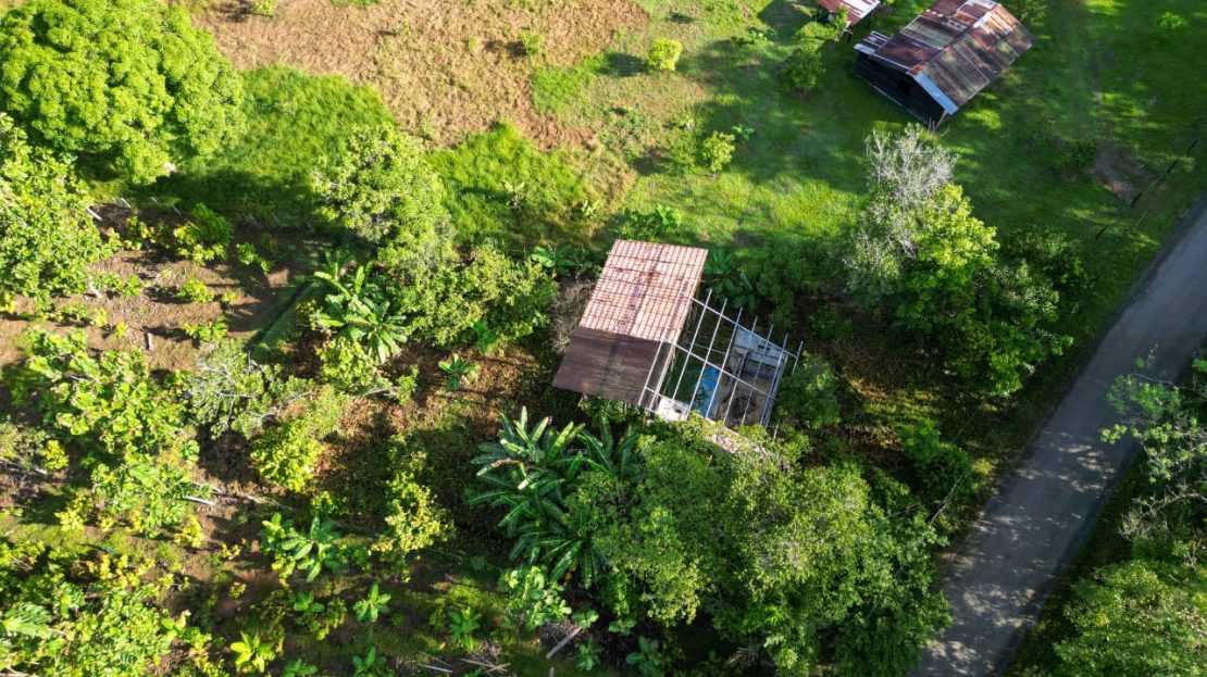 Puerto Jiménez Real Estate Listings 29731