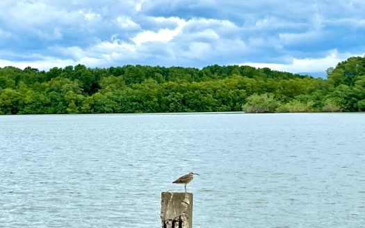 Beautiful Waterfront Property for Sale in Puntarenas