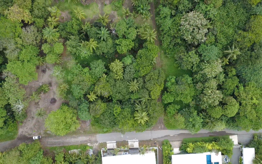 Large Beachside Lot with Direct Walkway to the Ocean