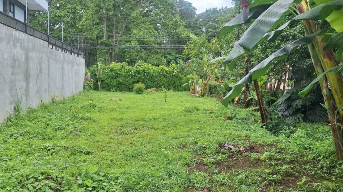 SAN PABLO DE HEREDIA.