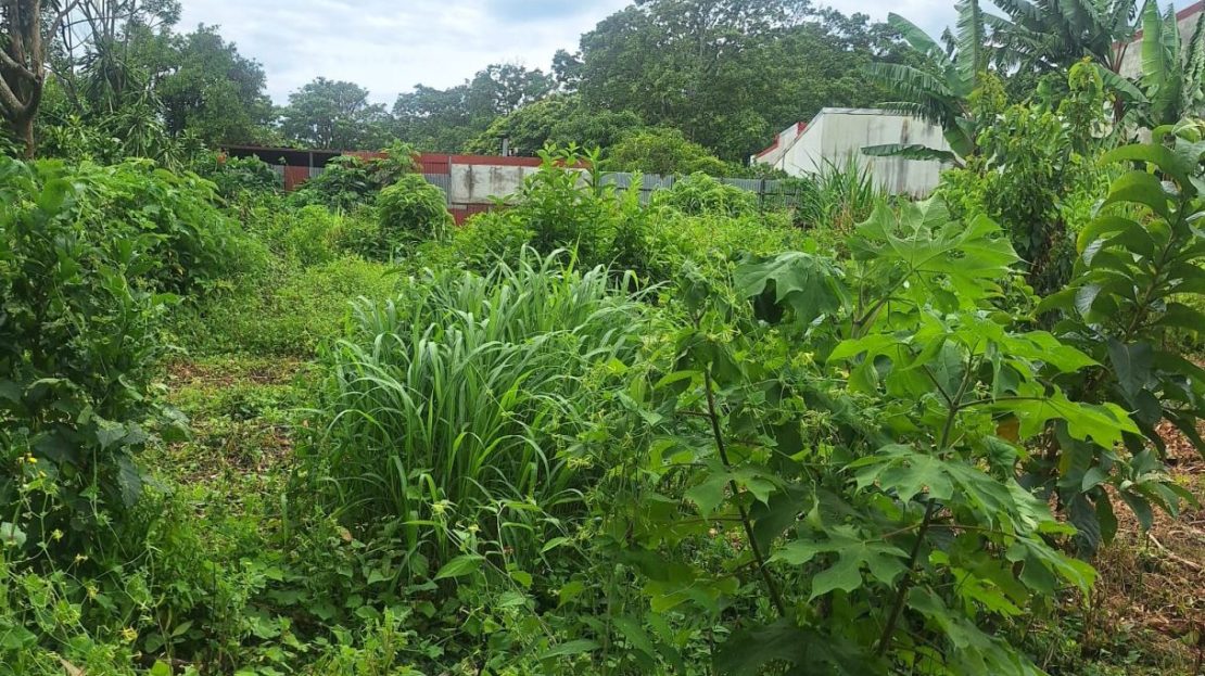 GREAT INVESTMENT OPPORTUNITY! MIXED-USE PROPERTY IN LAS CRUCES