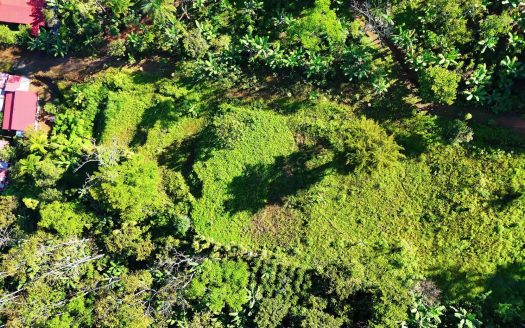 For Sale: 6,539 m² in Rivas – Perez Zeledon – Private Land