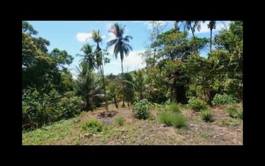 Commercially zoned property with 3-bed house and cabina on highway