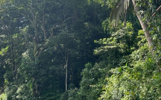 Costa Montaña Nature Lot