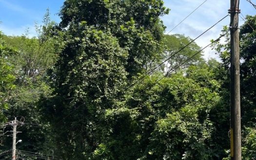 Tárcoles For Sale 101281 | RE/MAX Costa Rica Real Estate