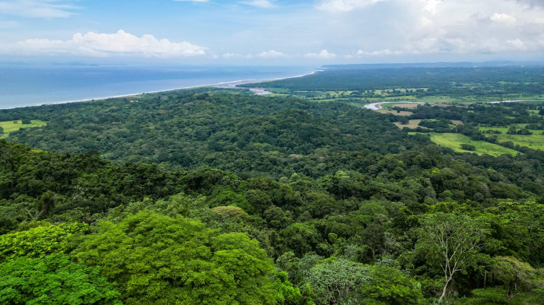 Tárcoles For Sale 84004 | RE/MAX Costa Rica Real Estate