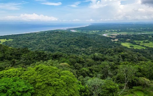 Tárcoles For Sale 84004 | RE/MAX Costa Rica Real Estate