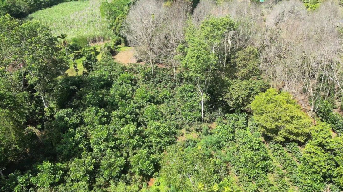 You Are Looking For!!