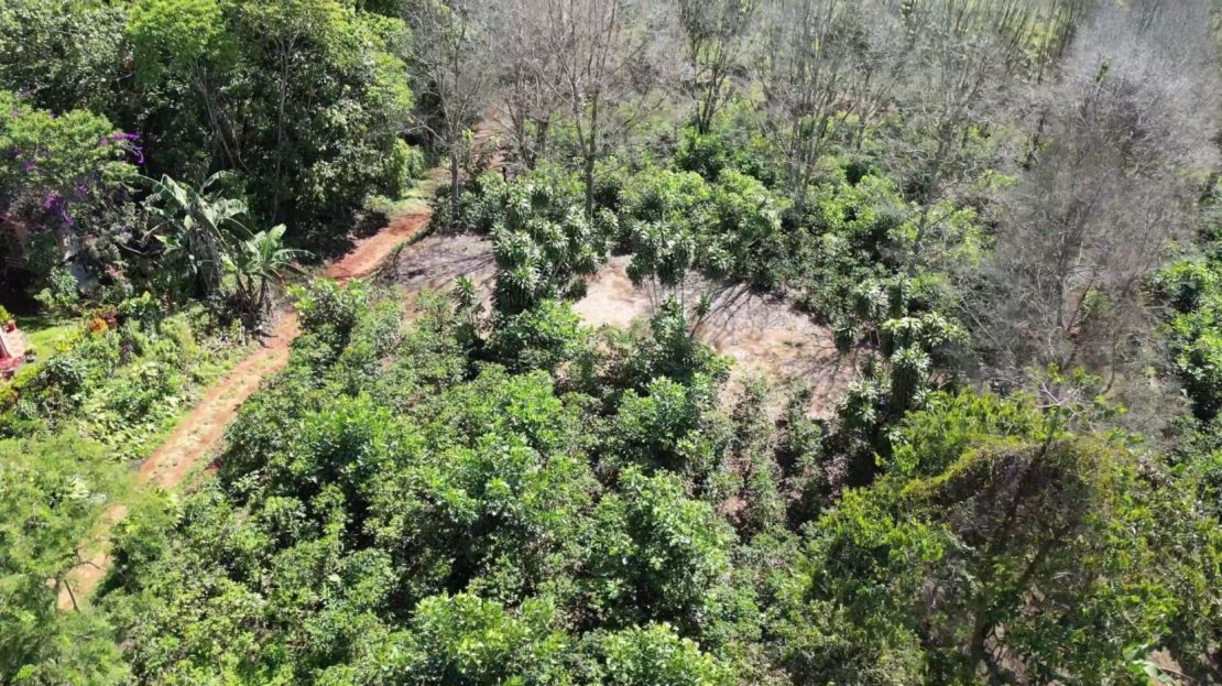 Costa Rica Real Estate