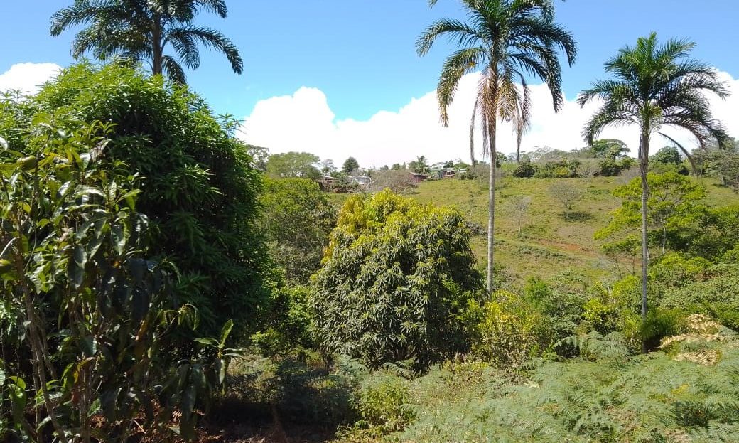 Costa Rica Real Estate