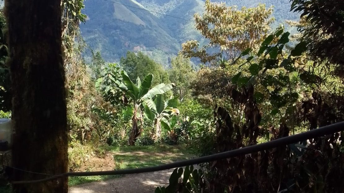 Affordable property in fresh climate only a short 8 minutes from Rivas