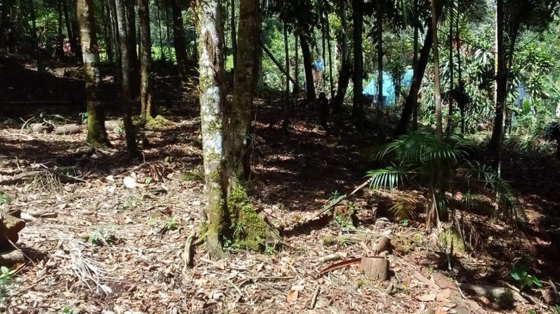 Costa Rica Real Estate