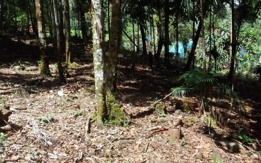 Fresh and secluded mountain property surrounded by nature.