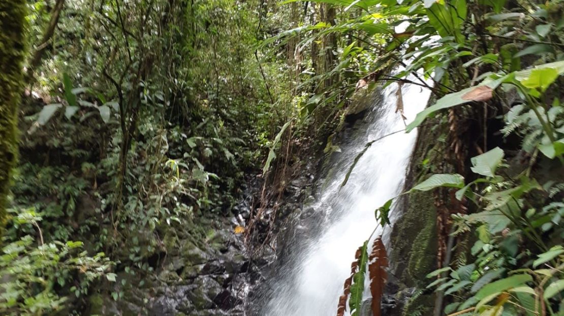 5 Pristine Waterfalls on More than 17 Acres- bordering reserve