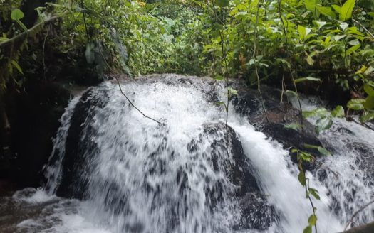 5 Pristine Waterfalls on More than 17 Acres- bordering reserve