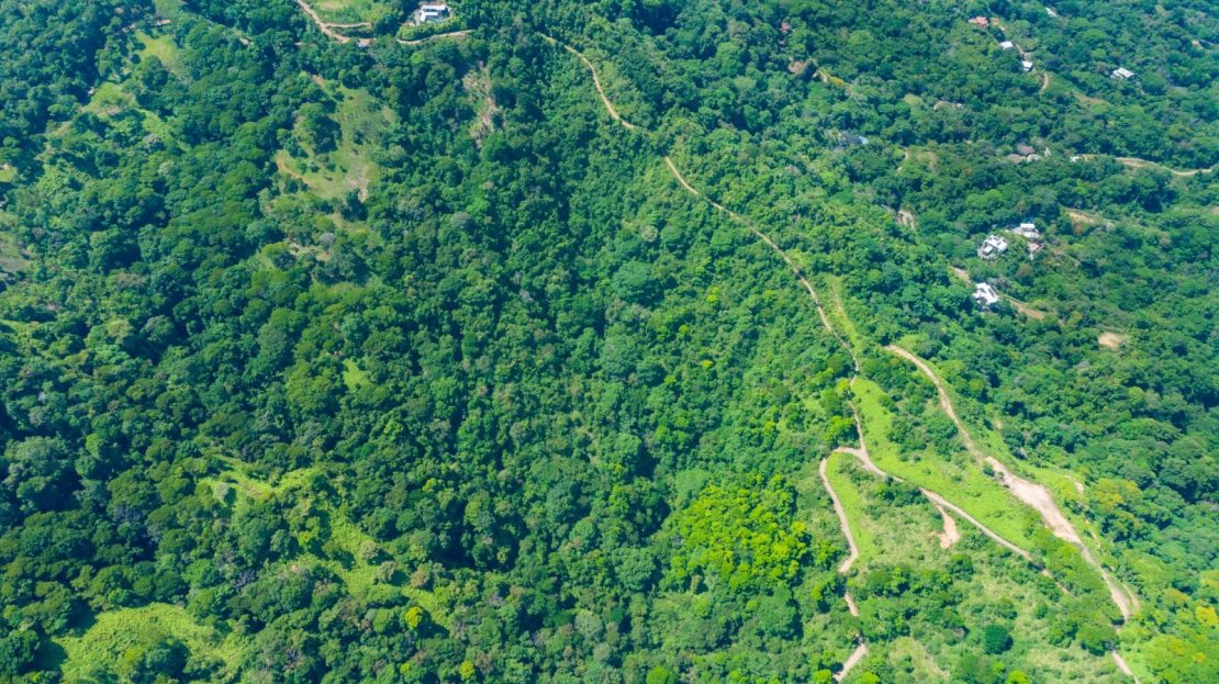 Over 60 hectares with stunning ocean and mountain view.