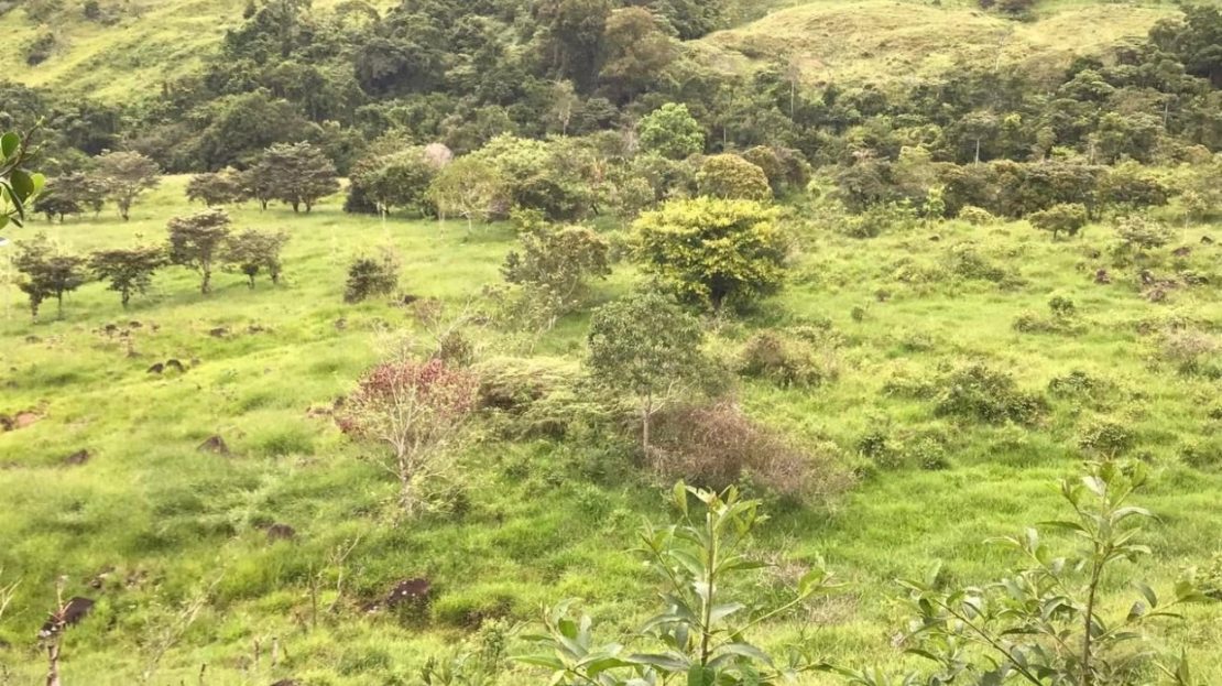 Pristine Riverfront Property for Sale in the Mountains of Costa Rica – 2.7 Hectares with Public Services for Just $115