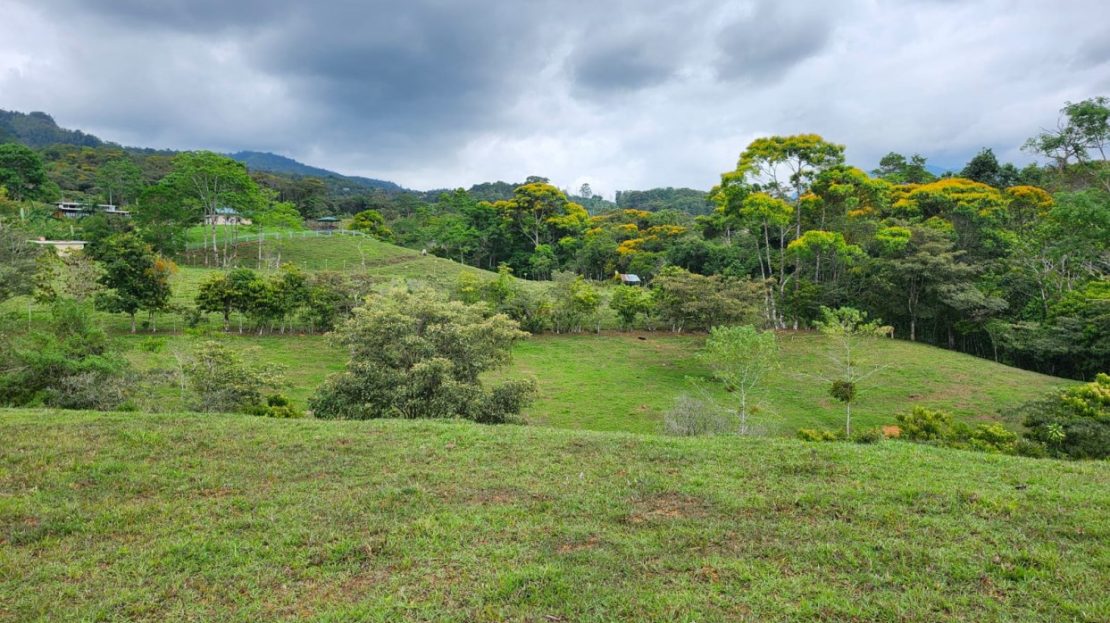 Usable Land with Creek & Forest