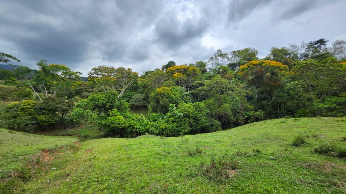 2-Acre Property for Sale in Miravalles – Flat