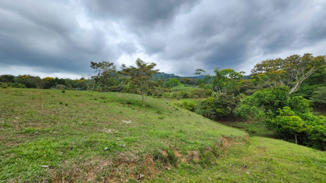 Costa Rica Real Estate