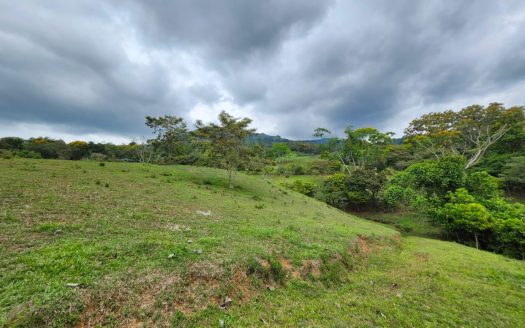 2-Acre Property for Sale in Miravalles – Flat, Usable Land with Creek & Forest
