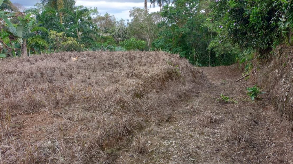 Costa Rica Real Estate