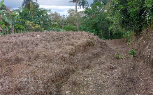 Spacious lot with water, electricity, easy access and only 45 minutes from Walmart