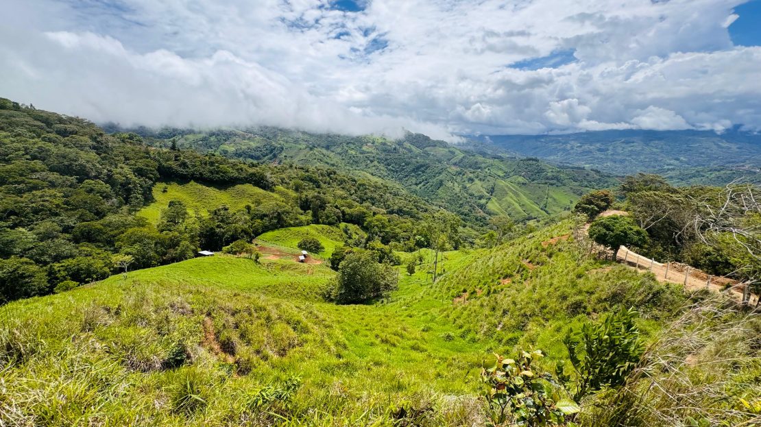 Expansive farm with views and pristine water only 15 minutes from Walmart.