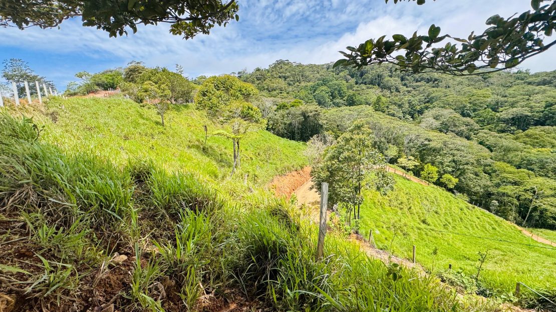 Costa Rica Real Estate