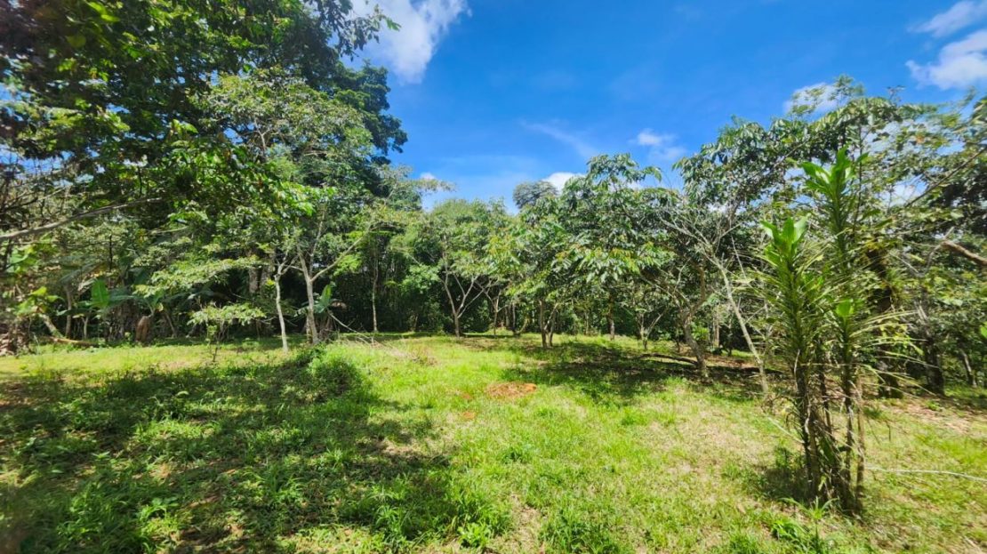 Costa Rica Real Estate