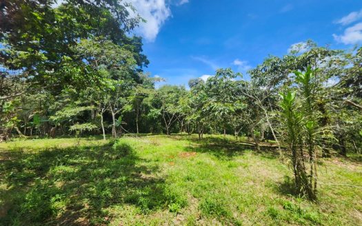 Quiet and peaceful farm in Quizarra, Perez Zeledon!
