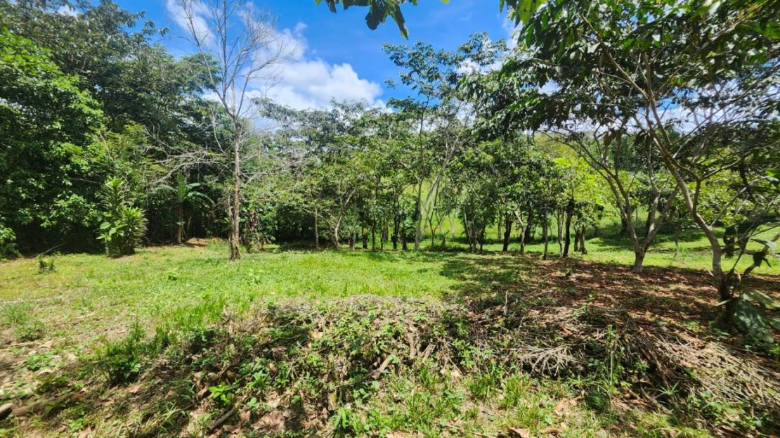 Quiet and peaceful farm in Quizarra