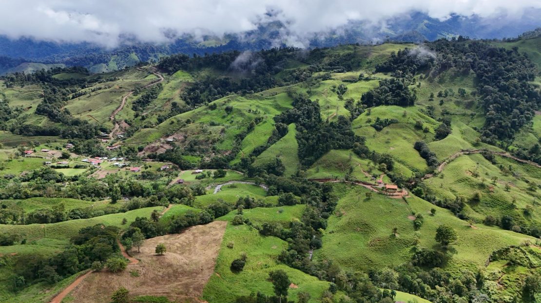 Stunning 56-hectare farm in San Marcos de Barú