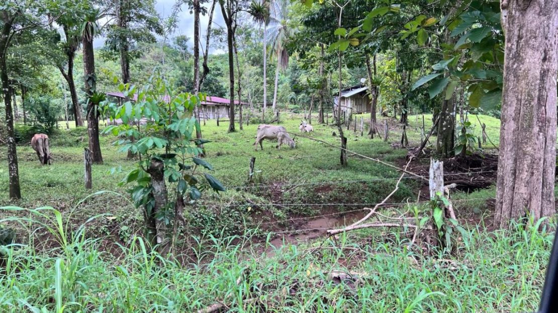 44-Hectare Agricultural Gem with Development Potential in Parrita